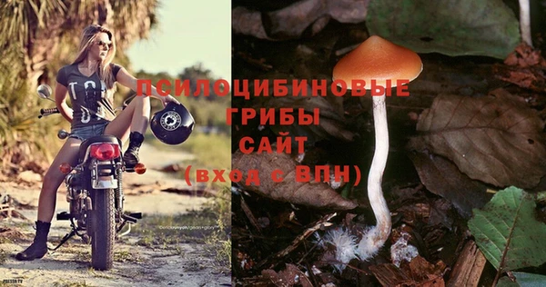ALPHA PVP Бугульма