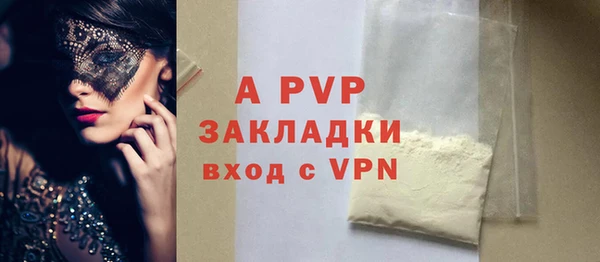 ECSTASY Бородино