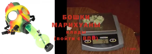 ECSTASY Бородино