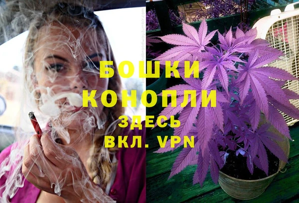 ECSTASY Бородино