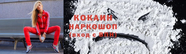 ECSTASY Бородино