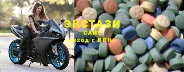 ECSTASY Бородино