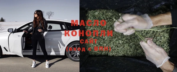 ECSTASY Бородино