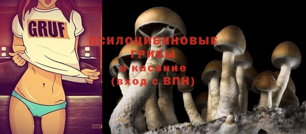 МДПВ Бронницы
