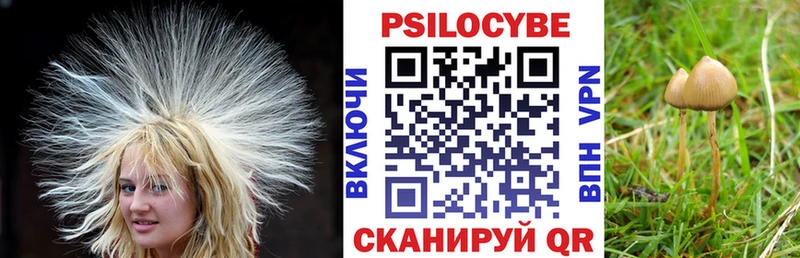 Галлюциногенные грибы прущие грибы Вологда